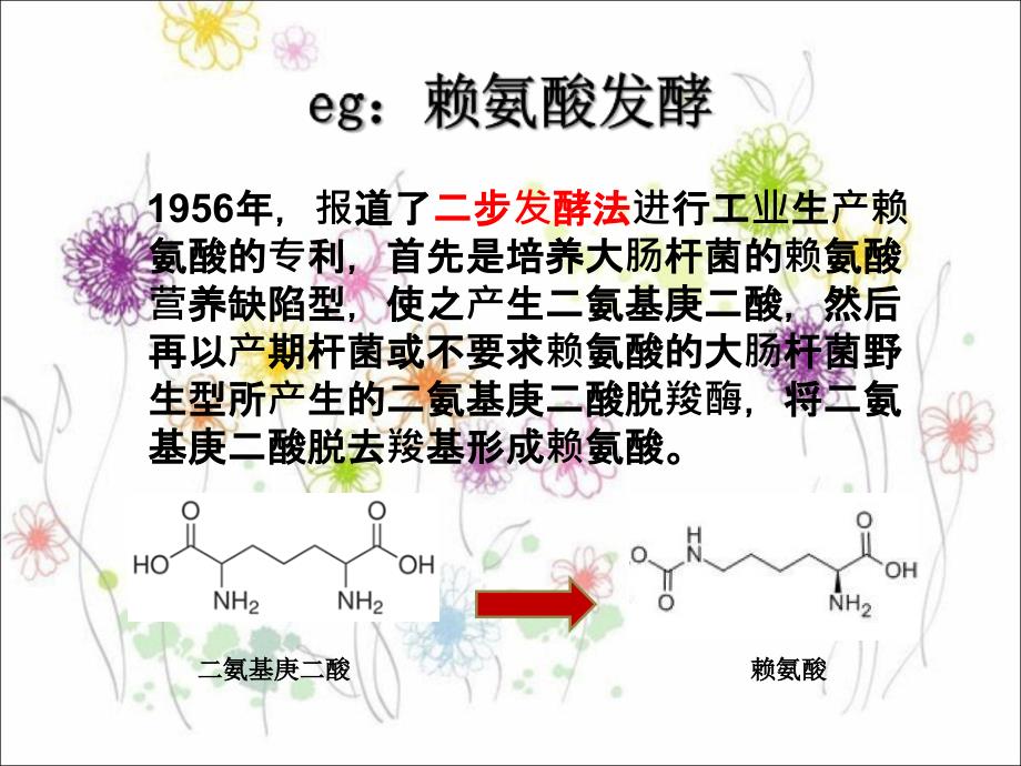 微生物代谢调控_第4页