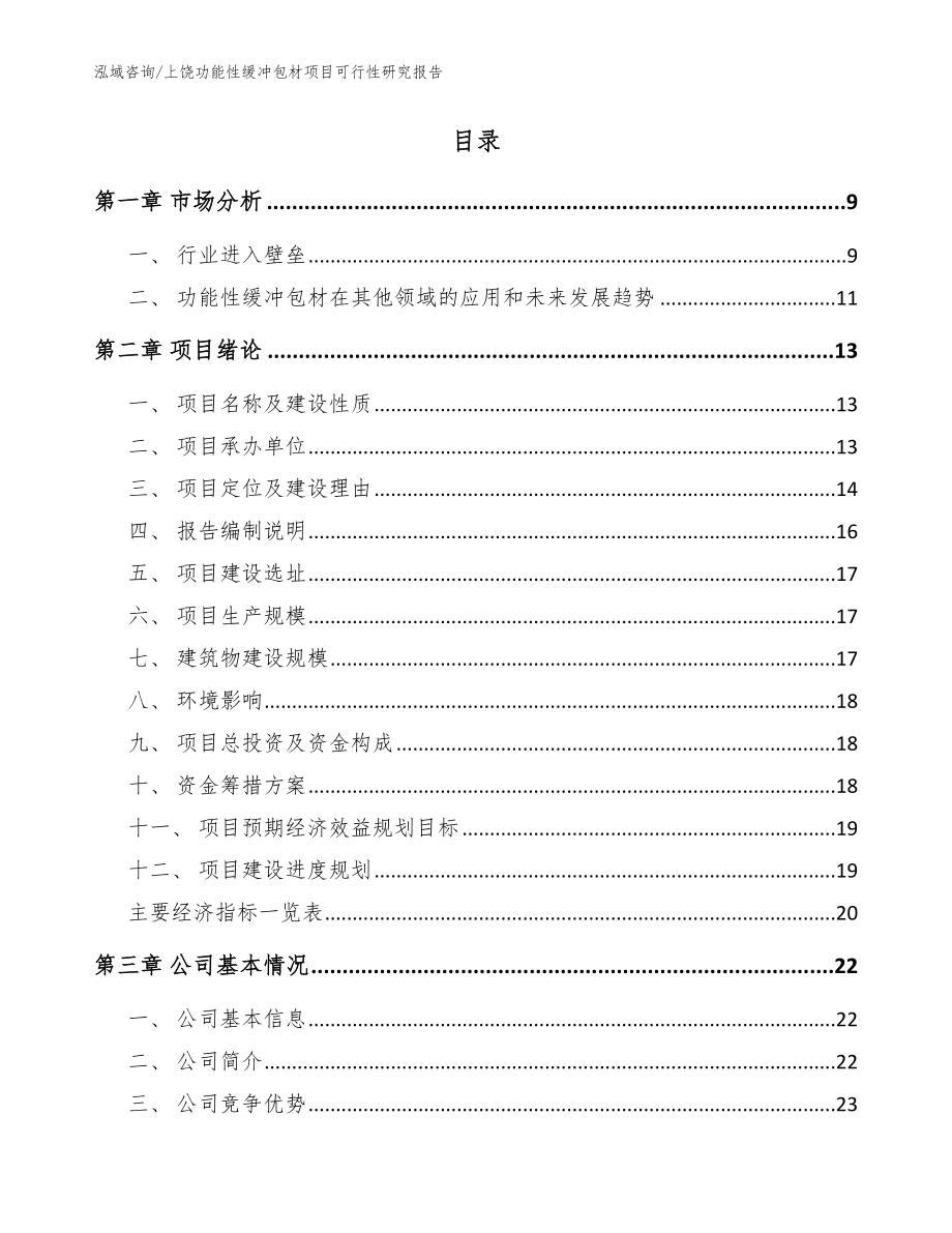 上饶功能性缓冲包材项目可行性研究报告范文参考_第2页