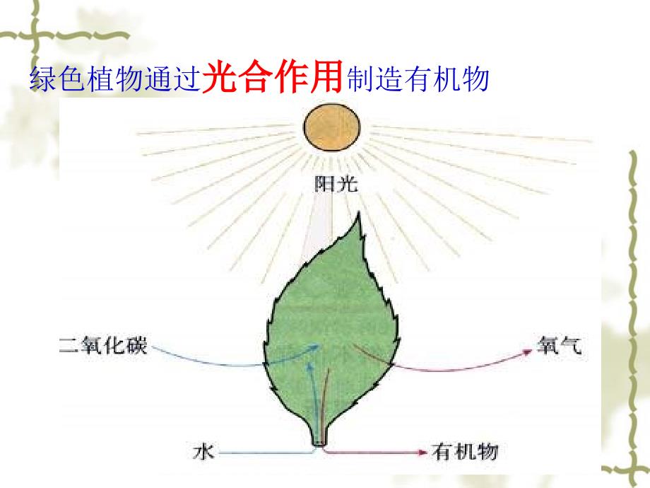 三单元四章节色植物是生物圈中有机物制造者_第4页