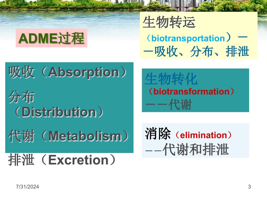 第3章化学毒物在体内的生物转运与转化课件_第3页