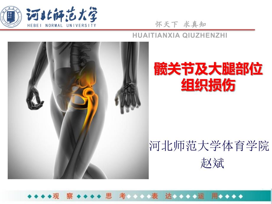 髋关节及大腿部位组织损伤_第1页