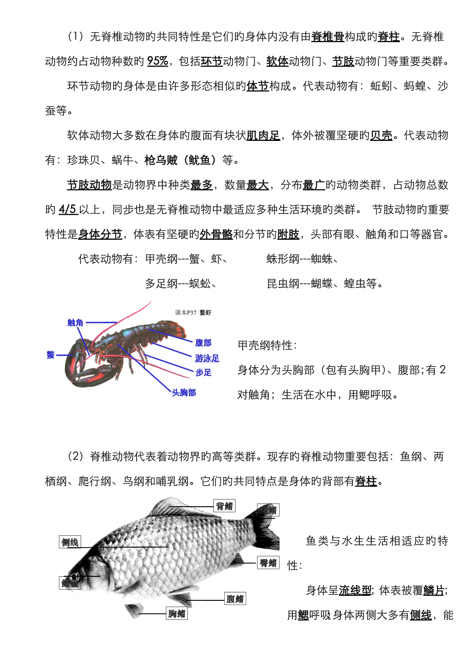 添加八年级上册_第2页