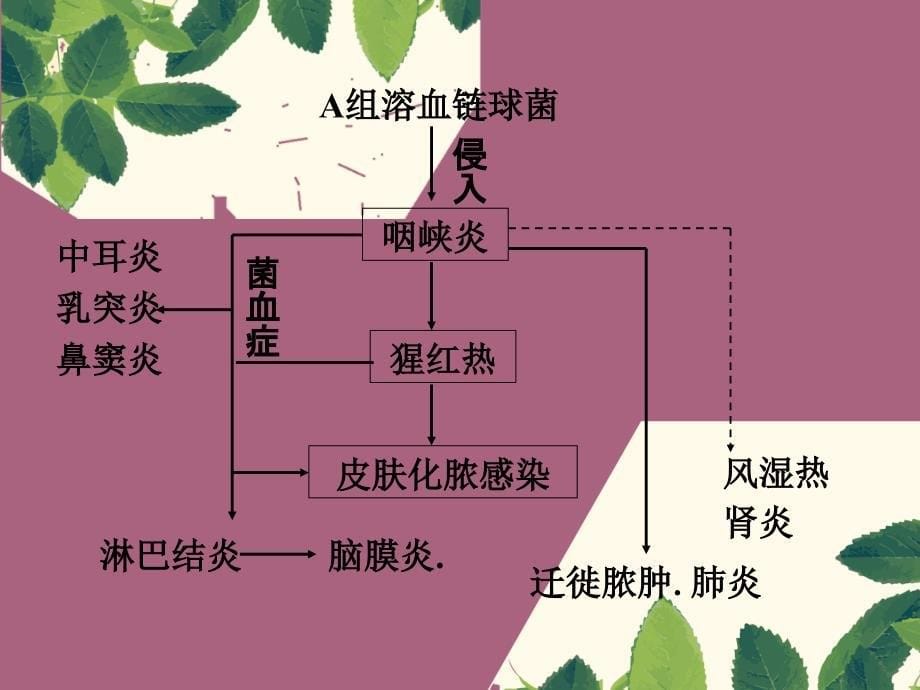 猩红热水痘的相关知识ppt课件_第5页