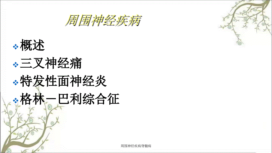 周围神经疾病脊髓病_第2页