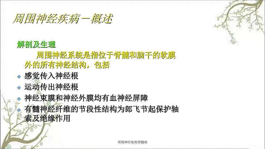 周围神经疾病脊髓病_第3页