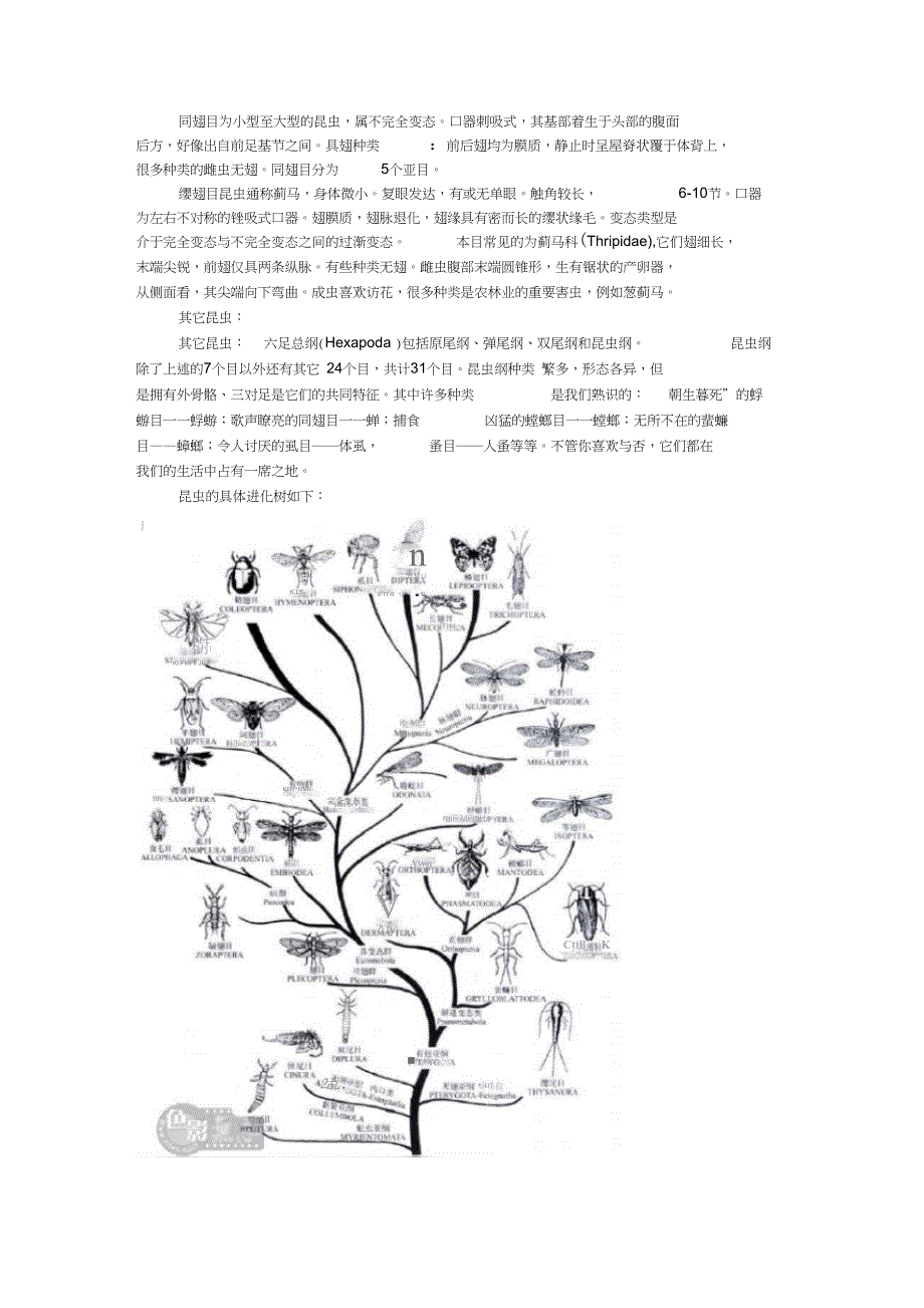 完整版昆虫纲的特征_第3页