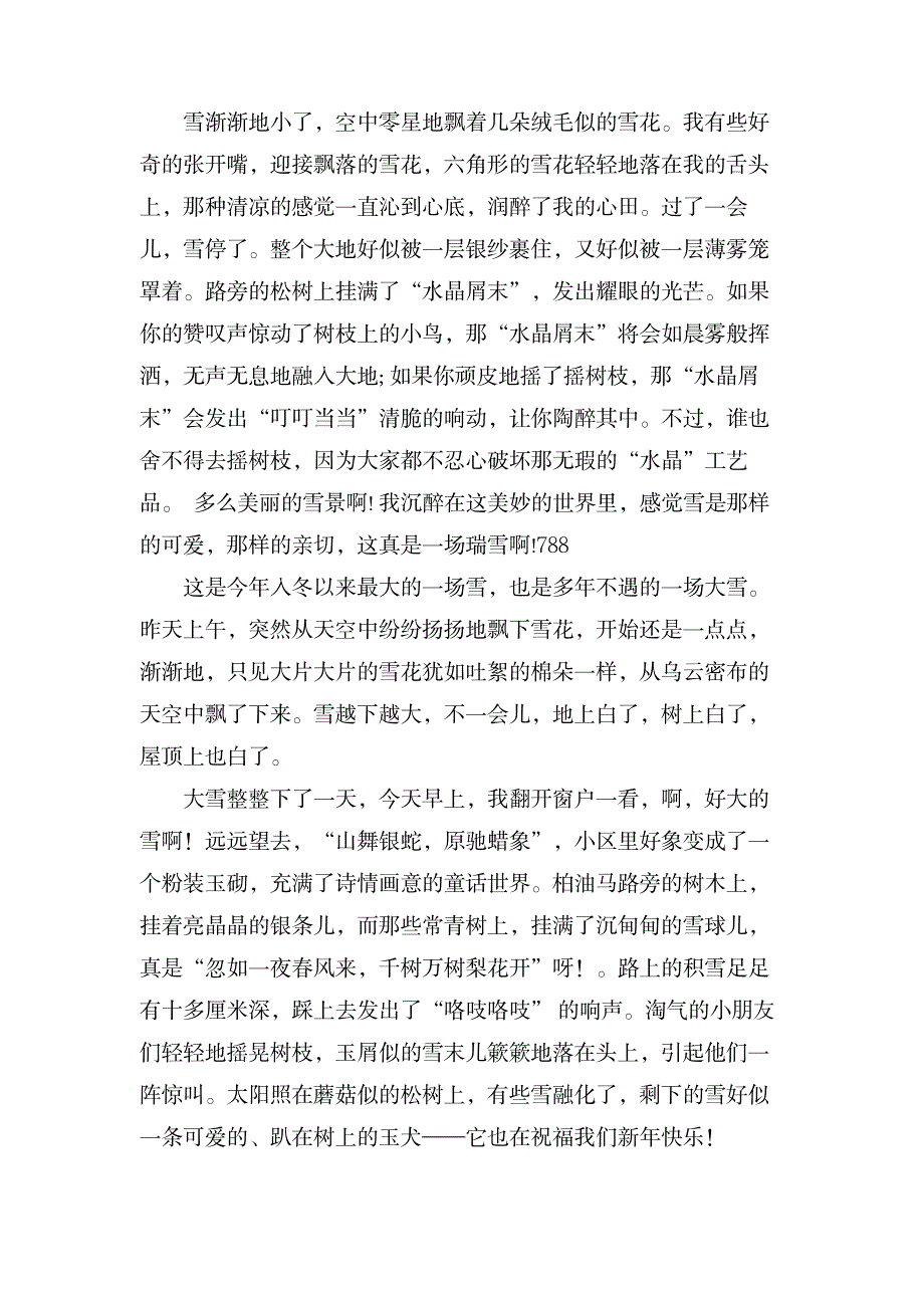 关于冬天的雪景城市作文范文_办公文档-PPT模板素材_第3页