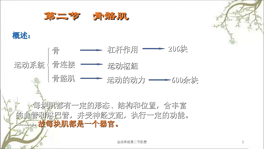 运动系统第二节肌赞课件_第2页