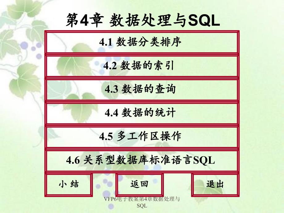 VFP6电子教案第4章数据处理与SQL_第2页