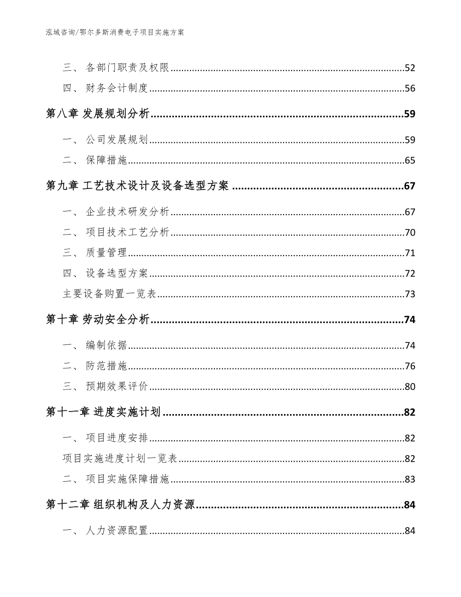 鄂尔多斯消费电子项目实施方案_第4页