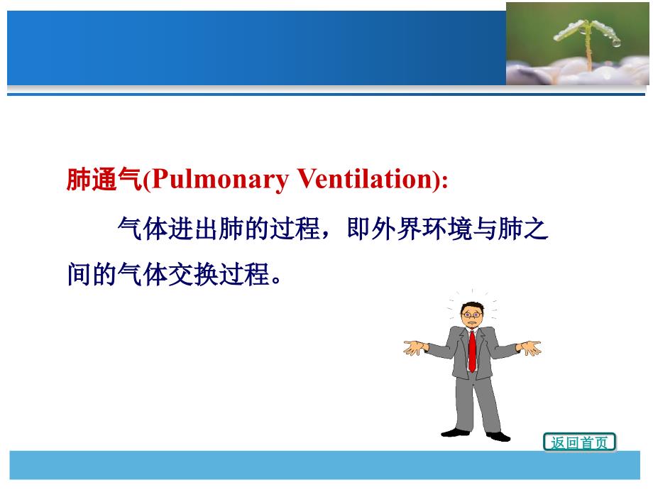 《呼吸系统生理》PPT课件_第4页