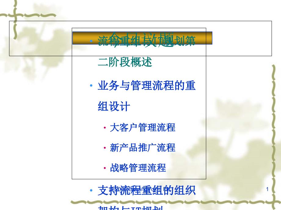 公司流程重组与IT规划课件_第1页