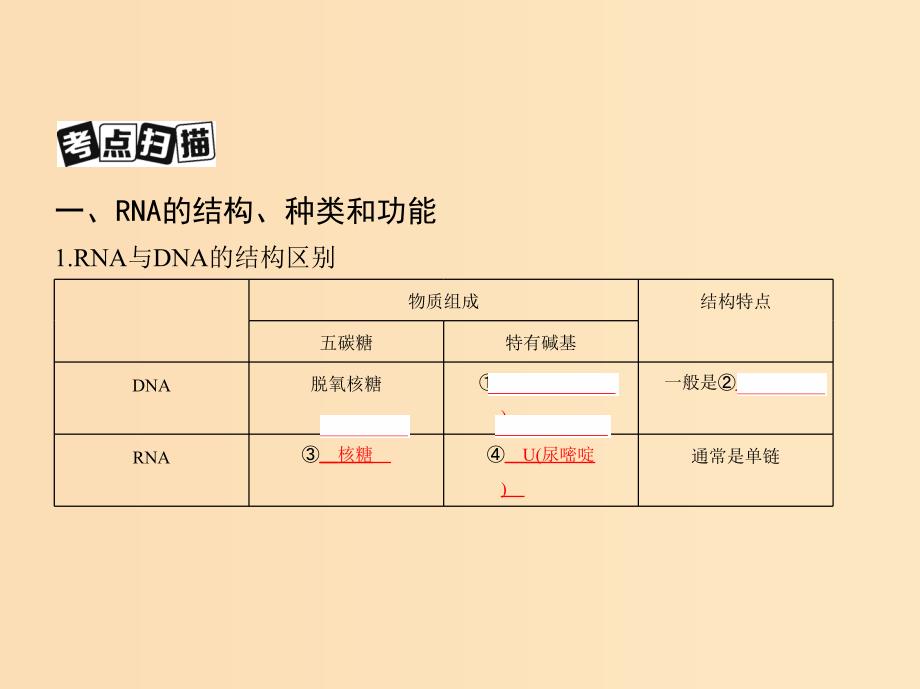 （北京专用）2019版高考生物一轮复习 第13讲 基因的表达课件.ppt_第3页