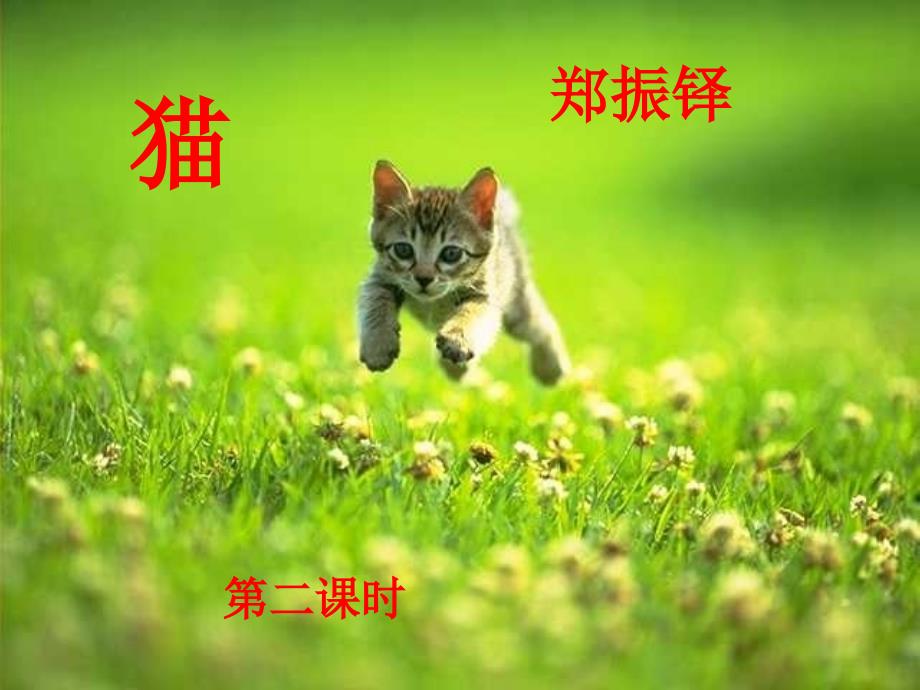 猫第二课时讲解_第4页