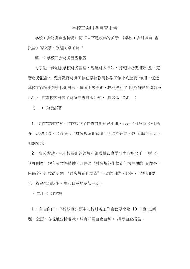 2020年学校工会财务自查报告