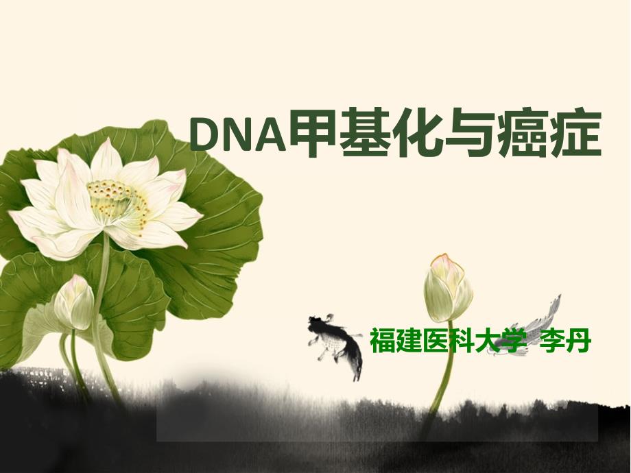 DNA甲基化与癌症_第1页