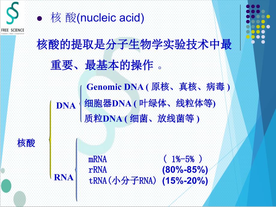 DNA-RAN-琼脂糖凝胶电泳_第3页