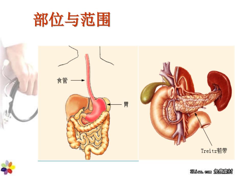 2012-2-9上消化道出血的护理_第3页