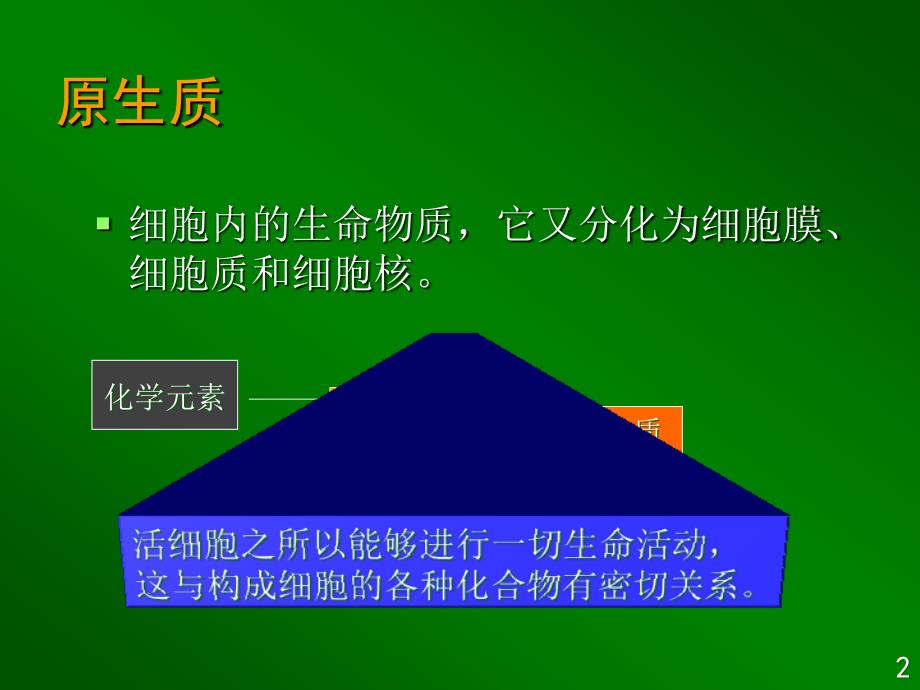 组成生物体的化合物课件_第2页