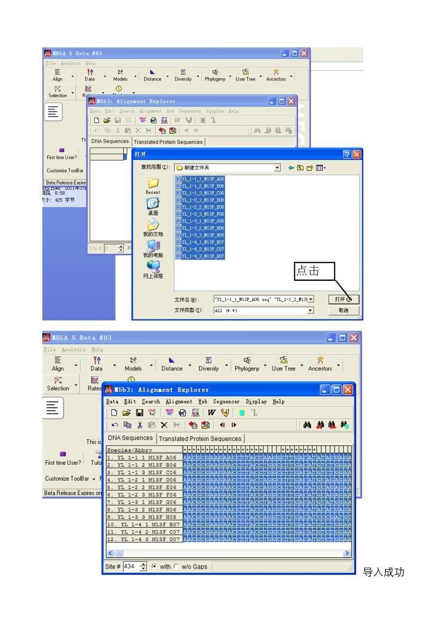 MEGA软件——系统发育树构建方法_第5页