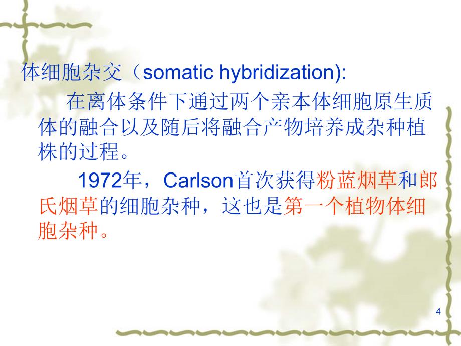 生物技术概论第六讲2植物体细胞杂交技术_第4页