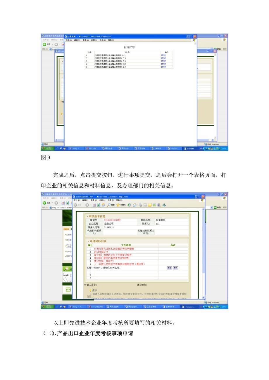 两类企业考核说明书SFI_第5页