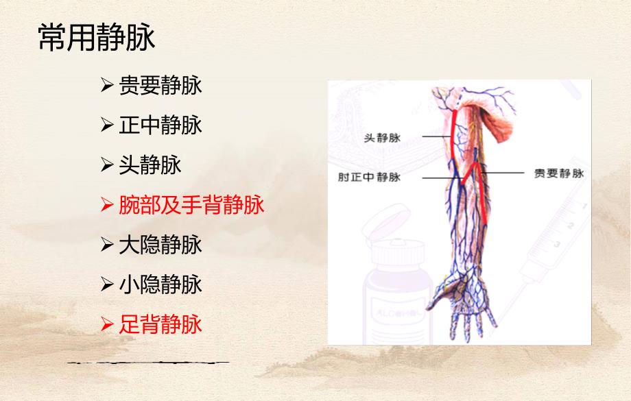 静脉穿刺技术课件文档资料_第2页