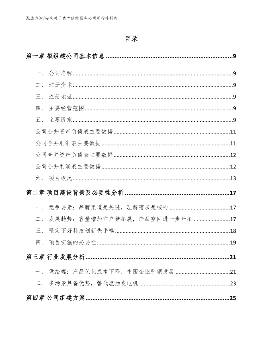 安庆关于成立储能服务公司可行性报告模板范本_第2页