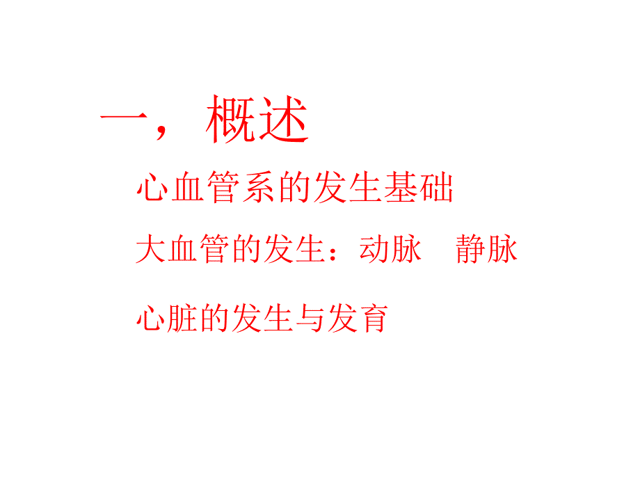 心脏发生与发育PPT课件_第2页