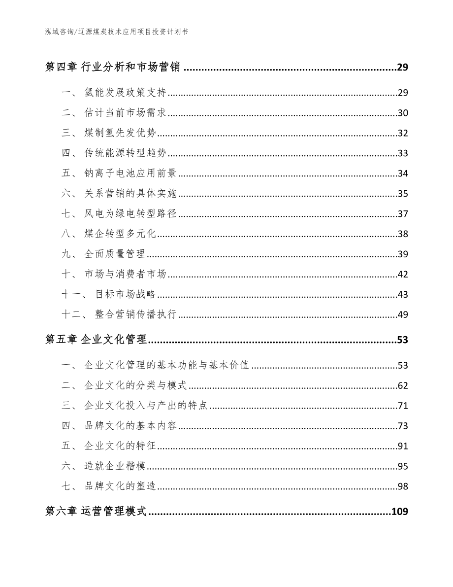 辽源煤炭技术应用项目投资计划书_范文_第2页