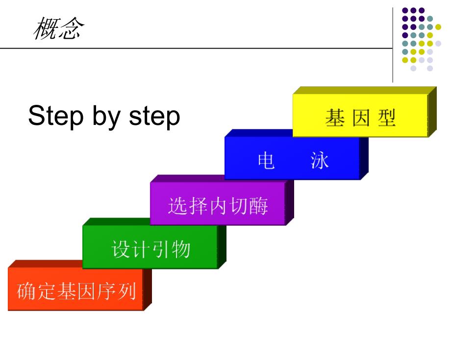 基因分型方法_第4页