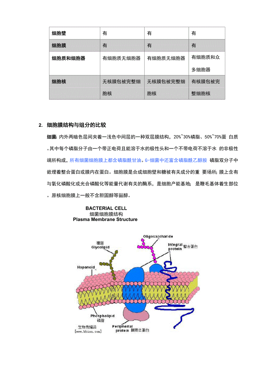 细菌、古菌和真菌的比较_第2页