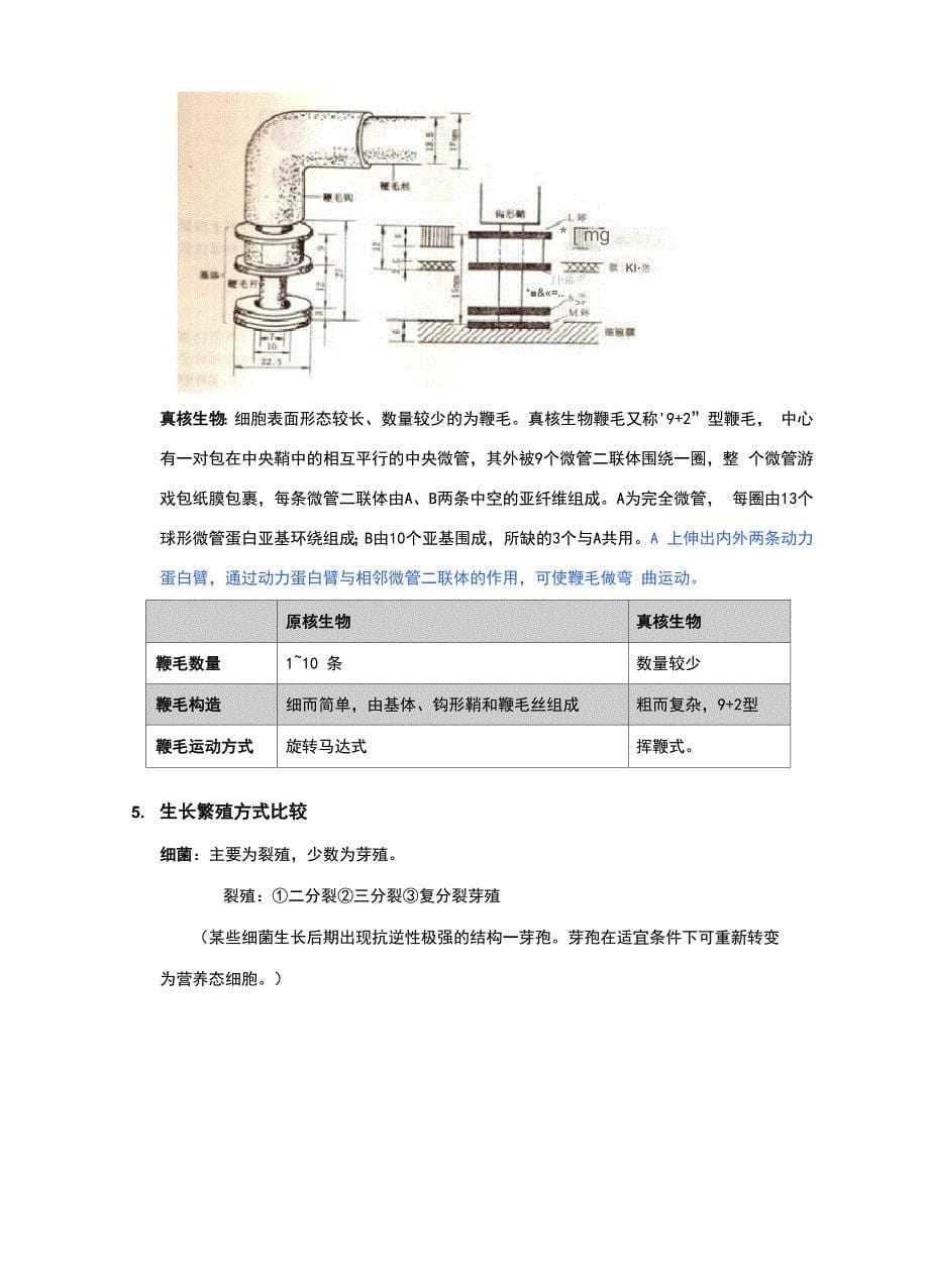 细菌、古菌和真菌的比较_第5页