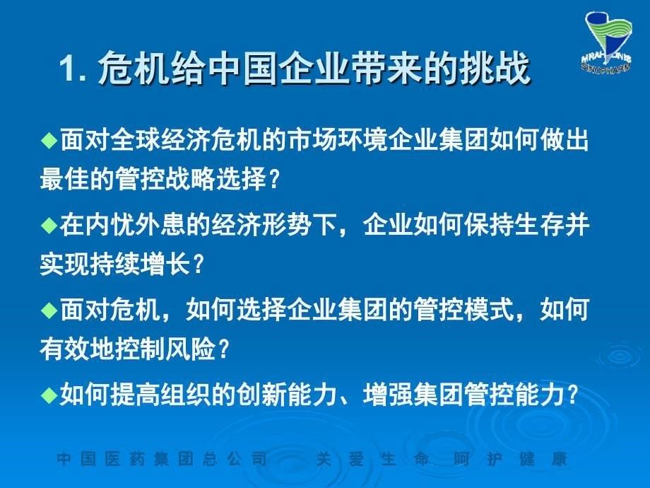 后危机时代企业集团管控的IT策略思考_第5页