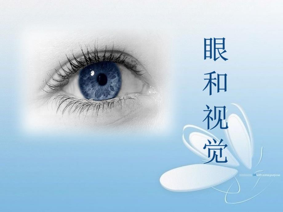 人教版初中生物七年级下册--眼与视觉课件_第1页