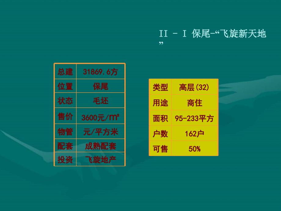 海南华友第一城产品定位提纲_第4页