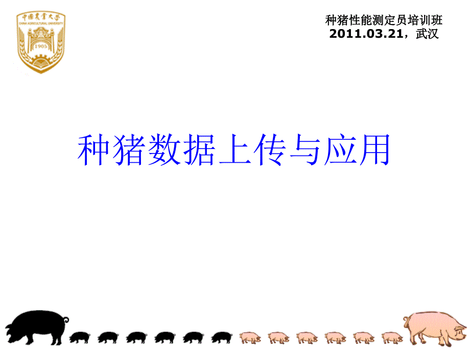 种猪数据上传与应用.ppt_第1页