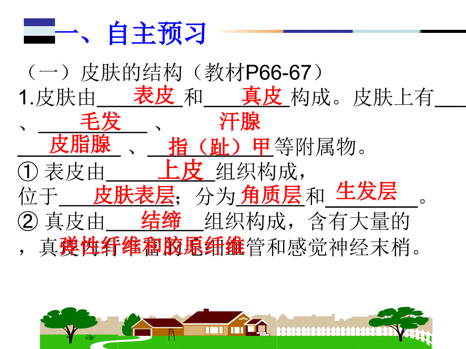 皮肤和汗液分泌_第3页