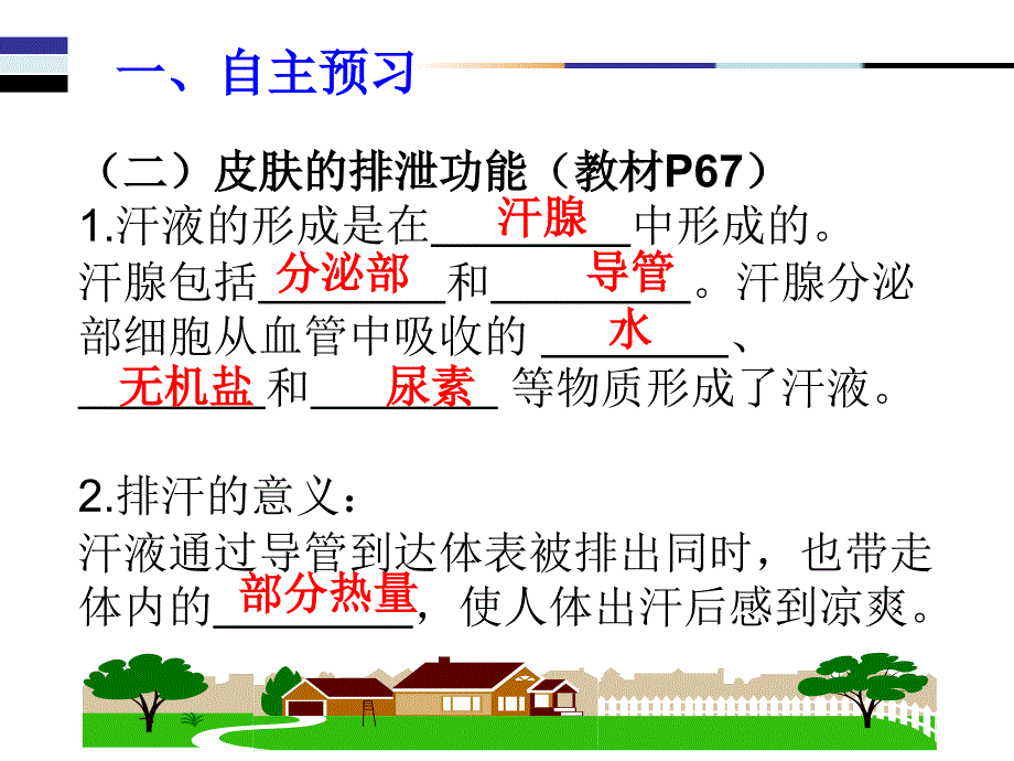 皮肤和汗液分泌_第4页