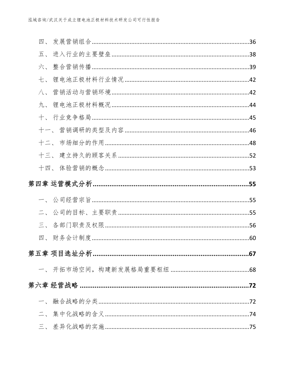 武汉关于成立锂电池正极材料技术研发公司可行性报告范文_第3页