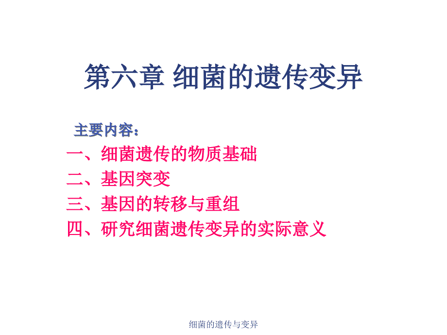 细菌的遗传与变异课件_第1页