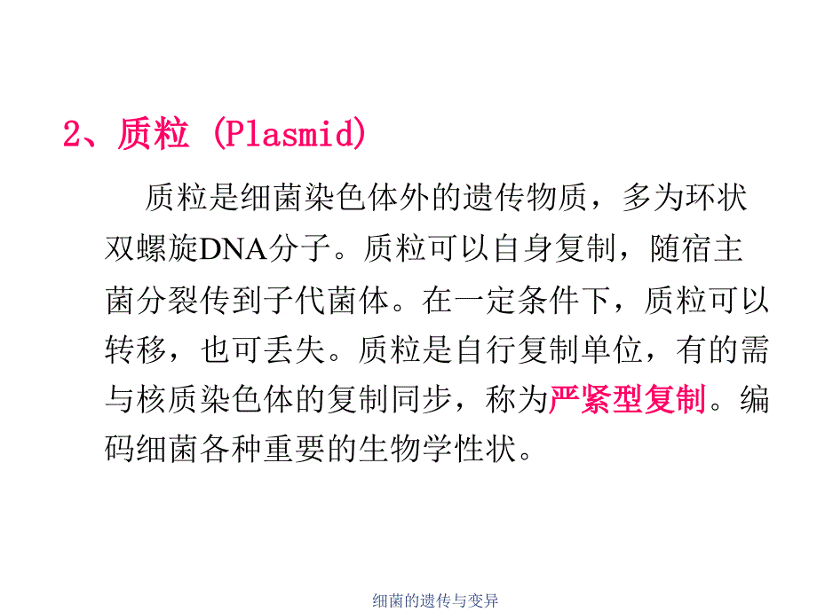 细菌的遗传与变异课件_第3页