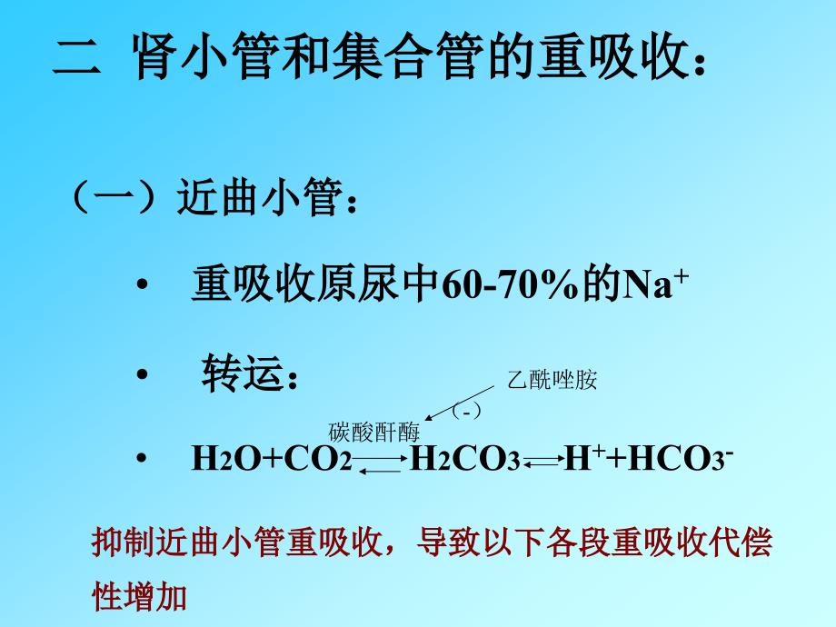 海药-利尿1189651616_第4页