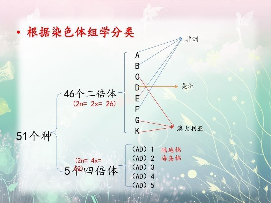 棉花基因组测序研究进展完整版课件_第5页