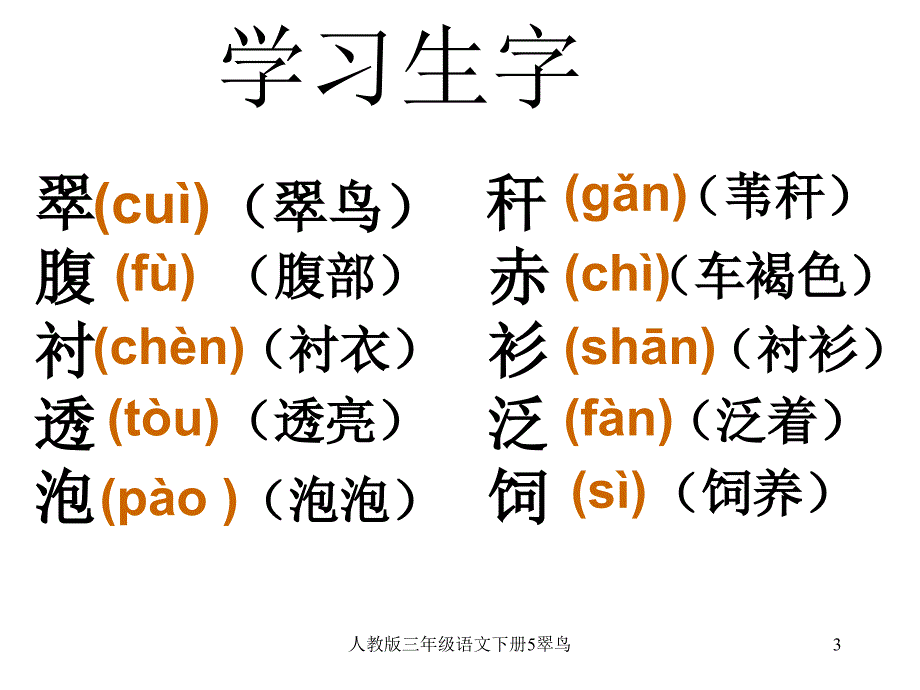 人教版三年级语文下册5翠鸟课件_第3页