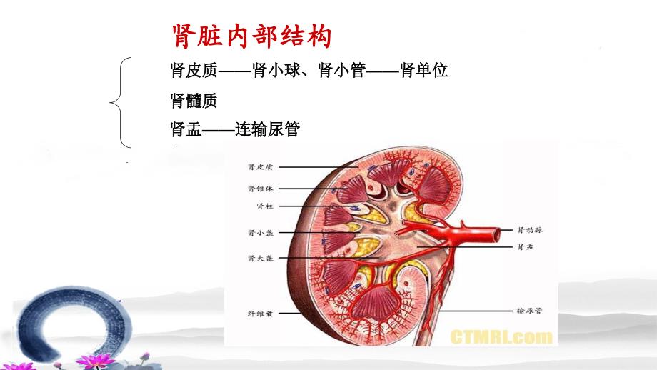 慢性肾衰竭的护理ppt课件_第3页