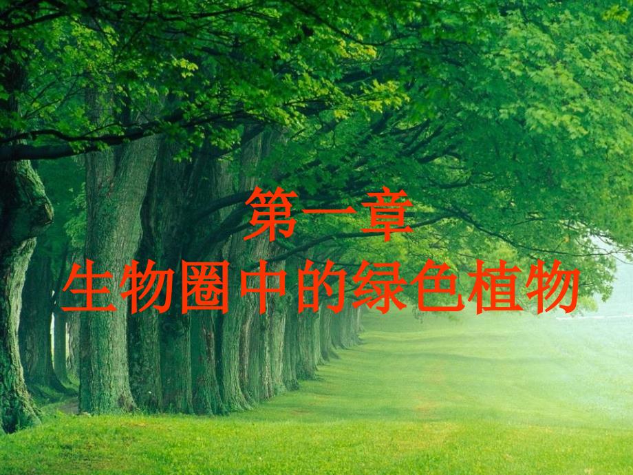 第二单元第一章生物圈中的绿色植物复习1名师编辑PPT课件_第1页