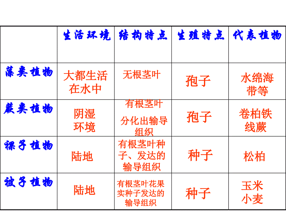 第二单元第一章生物圈中的绿色植物复习1名师编辑PPT课件_第3页