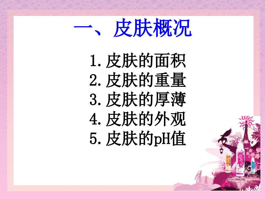 v化妆营销美容技术面部皮肤基础知识课时_第4页