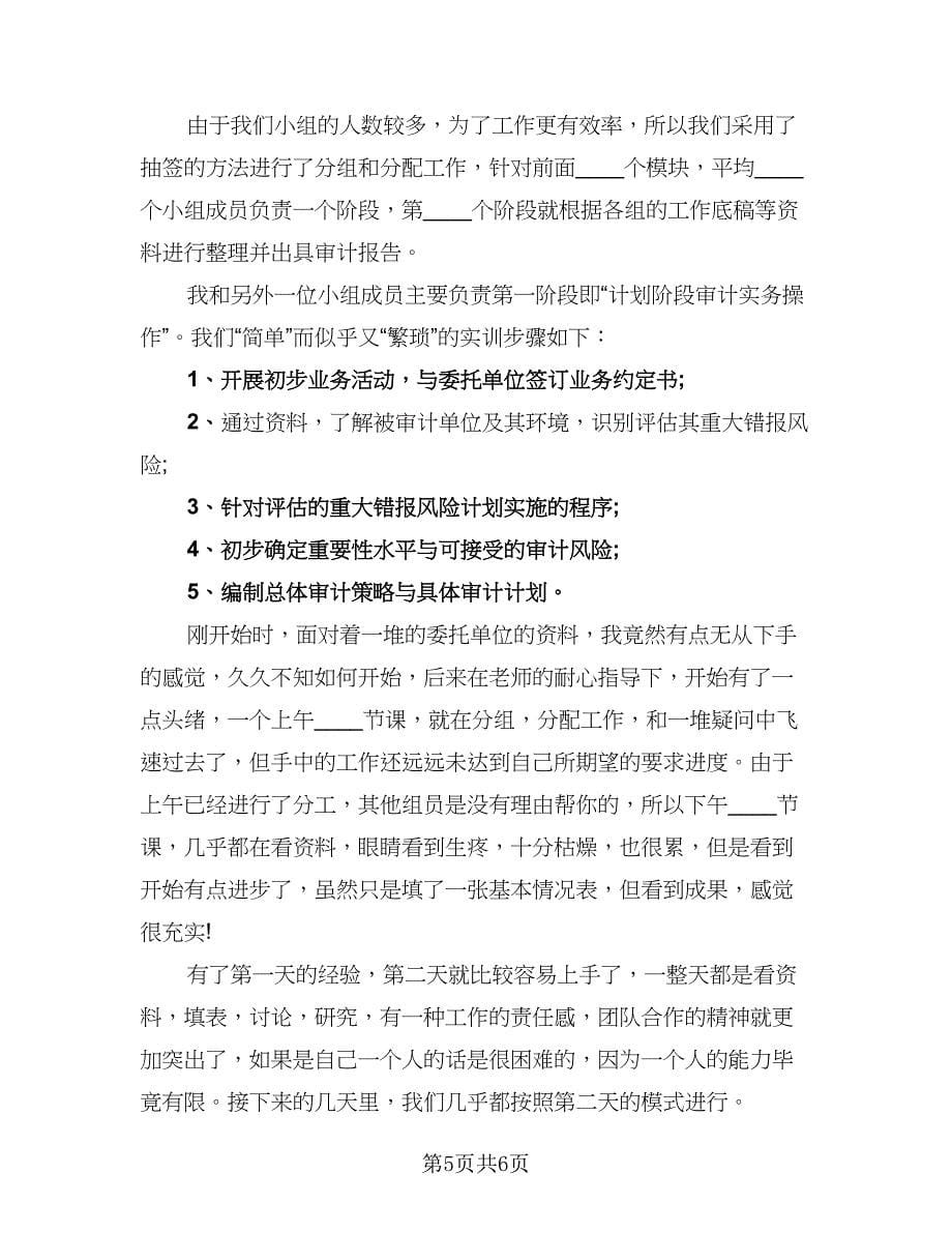 2023审计实习工作总结（二篇）.doc_第5页